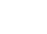 logo-alviona-white-trans